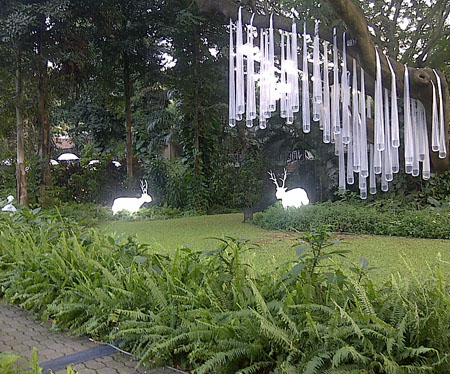 Image Caption